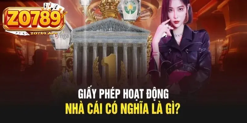Giấy phép Zo789 1 Giấy phép Zo789 là gì?